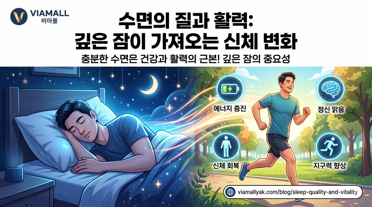 수면의 질과 활력 깊은 잠 신체 변화