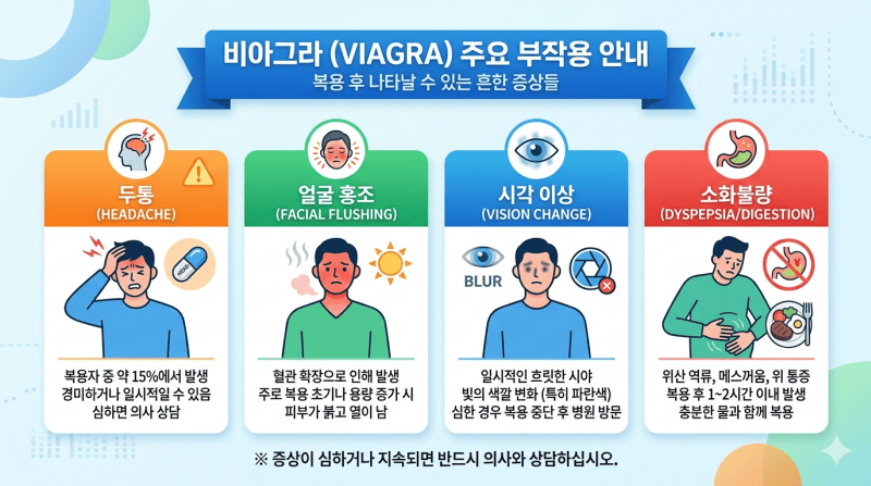 비아그라 부작용 및 상호작용 안전 가이드